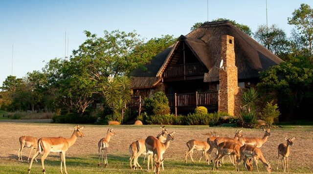 Kruger Park