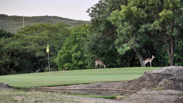 Kruger park