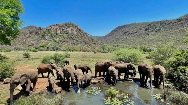 Kwa Maritane